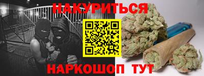 гидра Вязьма