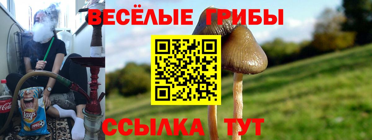 Псилоцибиновые грибы мицелий  Вход с VPN  Сочи 